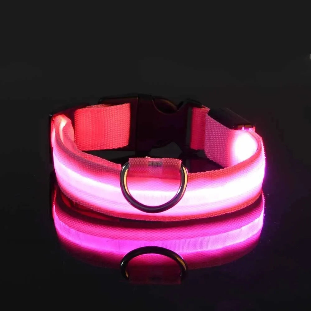 Guinzaglio per Cani in Nylon Led Sicurezza Notturna Lampeggiante Illumina al Buio Collare Fluorescente Luminoso