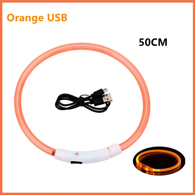 Collare Luminoso USB Ricaricabile Con Led Regolabile Cani Di Piccola Taglia E Gatti Luce Notturna Sicurezza Animali