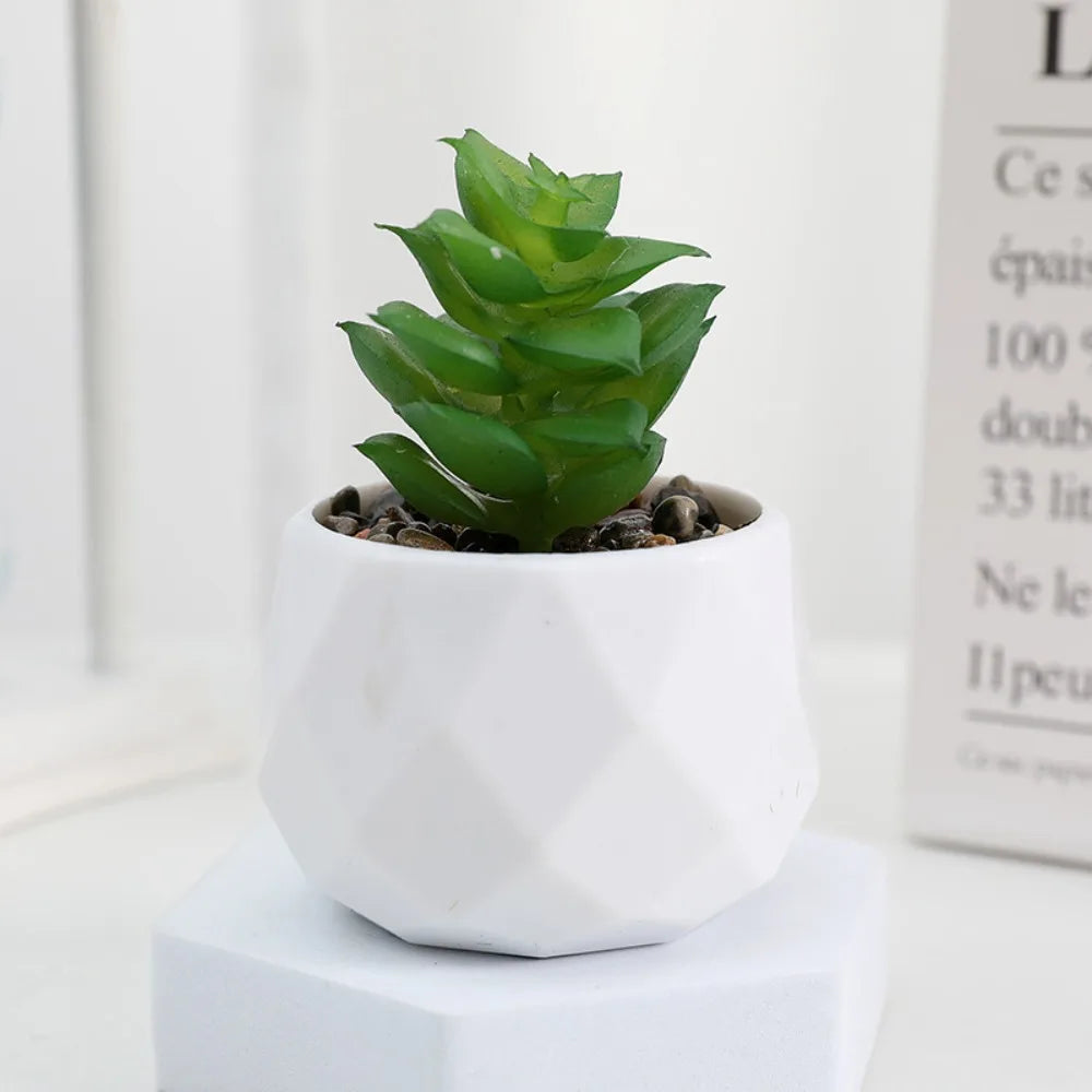 Simulazione Di Piante Bonsai E Succulente Artificiali Mini Evergreen Bonsai Cactus Decor Plastica Finta Per Decorazione