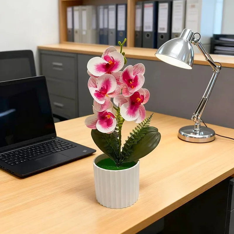 Vaso Da Bar Verticale Con 5 Orchidee A Farfalla Per Matrimonio E Scrivania Decorazione Piante Verdi In Set Design