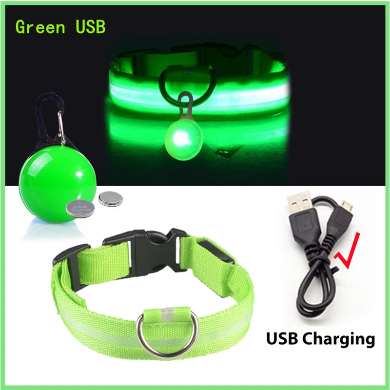 Collare Luminoso USB Ricaricabile Per Cani Di Piccola Taglia Pendente Staccabile Con Luce LED Notturna COOYOMOO