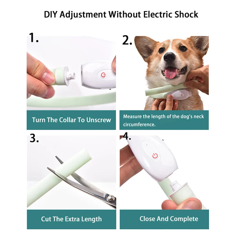 Collare Per Cani LED Ricaricabile USB Lampeggiante Luce Di Sicurezza E Visibilità Per Animali Domestici
