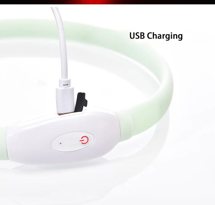 Collare Per Cani LED Ricaricabile USB Lampeggiante Luce Di Sicurezza E Visibilità Per Animali Domestici