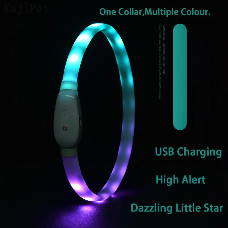 Collare Per Cani LED Ricaricabile USB Lampeggiante Luce Di Sicurezza E Visibilità Per Animali Domestici