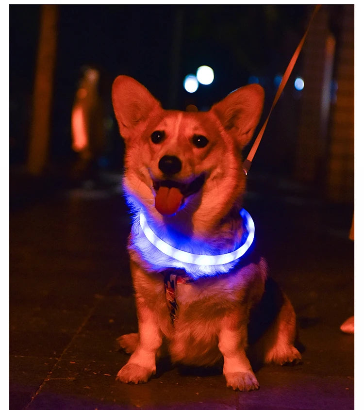 Collare Per Cani LED Ricaricabile USB Lampeggiante Luce Di Sicurezza E Visibilità Per Animali Domestici
