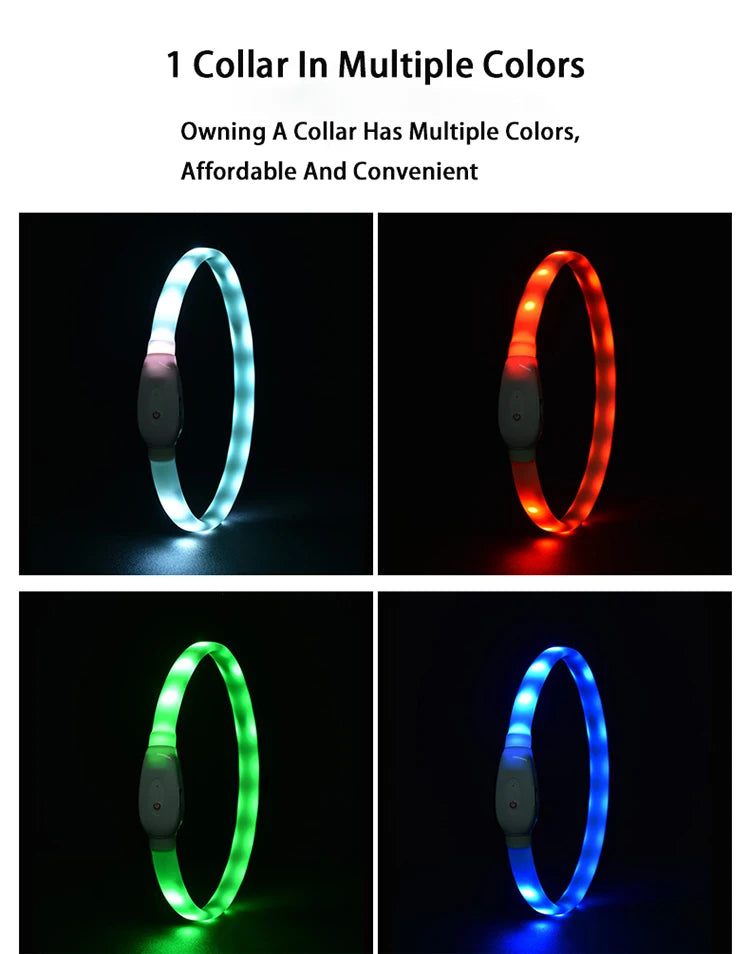 Collare Per Cani LED Ricaricabile USB Lampeggiante Luce Di Sicurezza E Visibilità Per Animali Domestici
