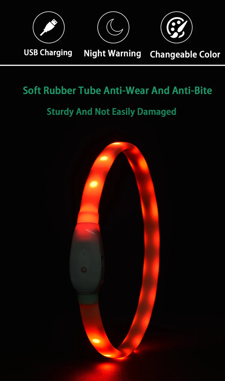Collare Per Cani LED Ricaricabile USB Lampeggiante Luce Di Sicurezza E Visibilità Per Animali Domestici