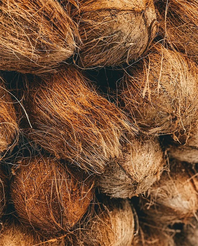 Tappetino Raschiatore Per Porte In Fibra Di Cocco Naturale Antiscivolo Interni Ed Esterni Zerbino Per Ingresso