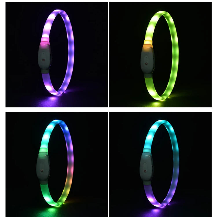 Collare Per Cani LED Ricaricabile USB Lampeggiante Luce Di Sicurezza E Visibilità Per Animali Domestici