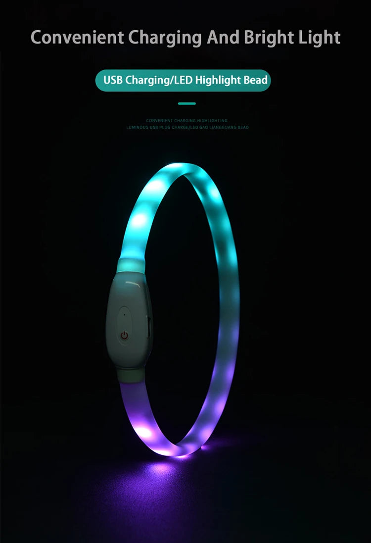 Collare Per Cani LED Ricaricabile USB Lampeggiante Luce Di Sicurezza E Visibilità Per Animali Domestici