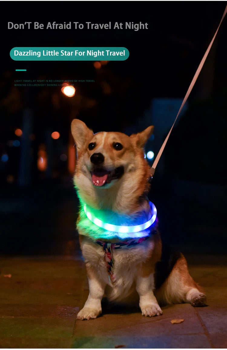 Collare Per Cani LED Ricaricabile USB Lampeggiante Luce Di Sicurezza E Visibilità Per Animali Domestici