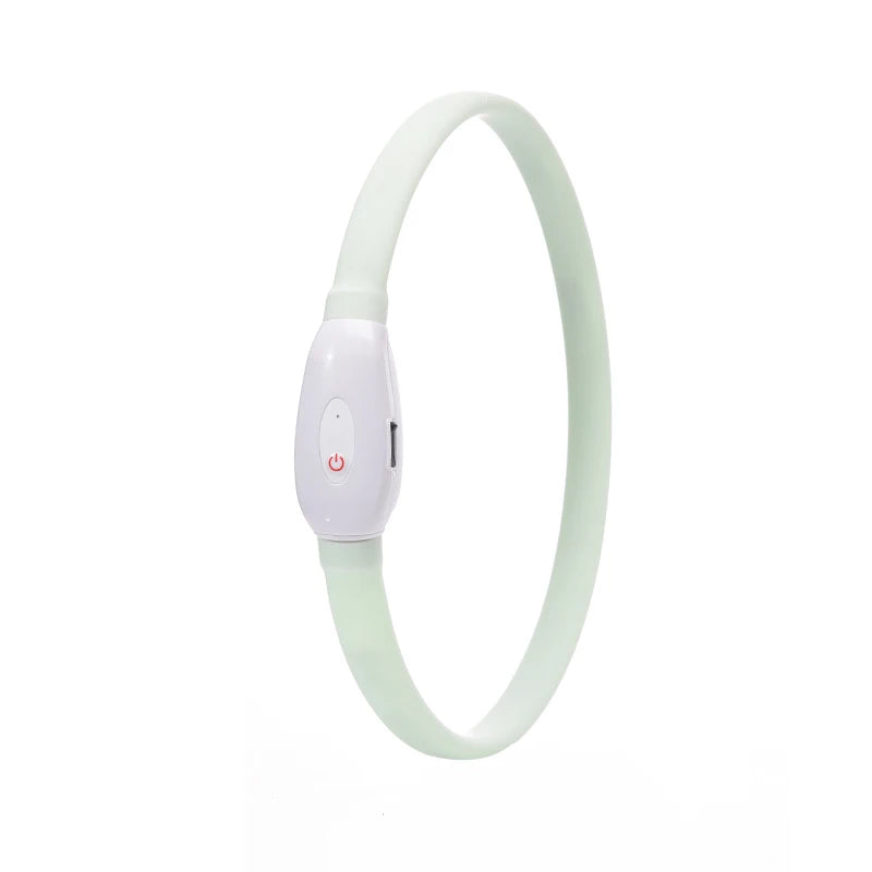 Collare Per Cani LED Ricaricabile USB Lampeggiante Luce Di Sicurezza E Visibilità Per Animali Domestici