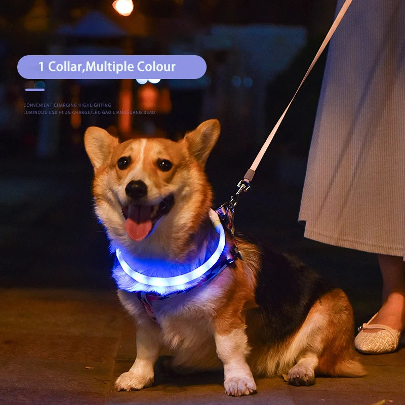 Collare Per Cani LED Ricaricabile USB Lampeggiante Luce Di Sicurezza E Visibilità Per Animali Domestici