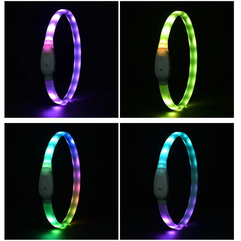 Collare Per Cani LED Ricaricabile USB Lampeggiante Luce Di Sicurezza E Visibilità Per Animali Domestici