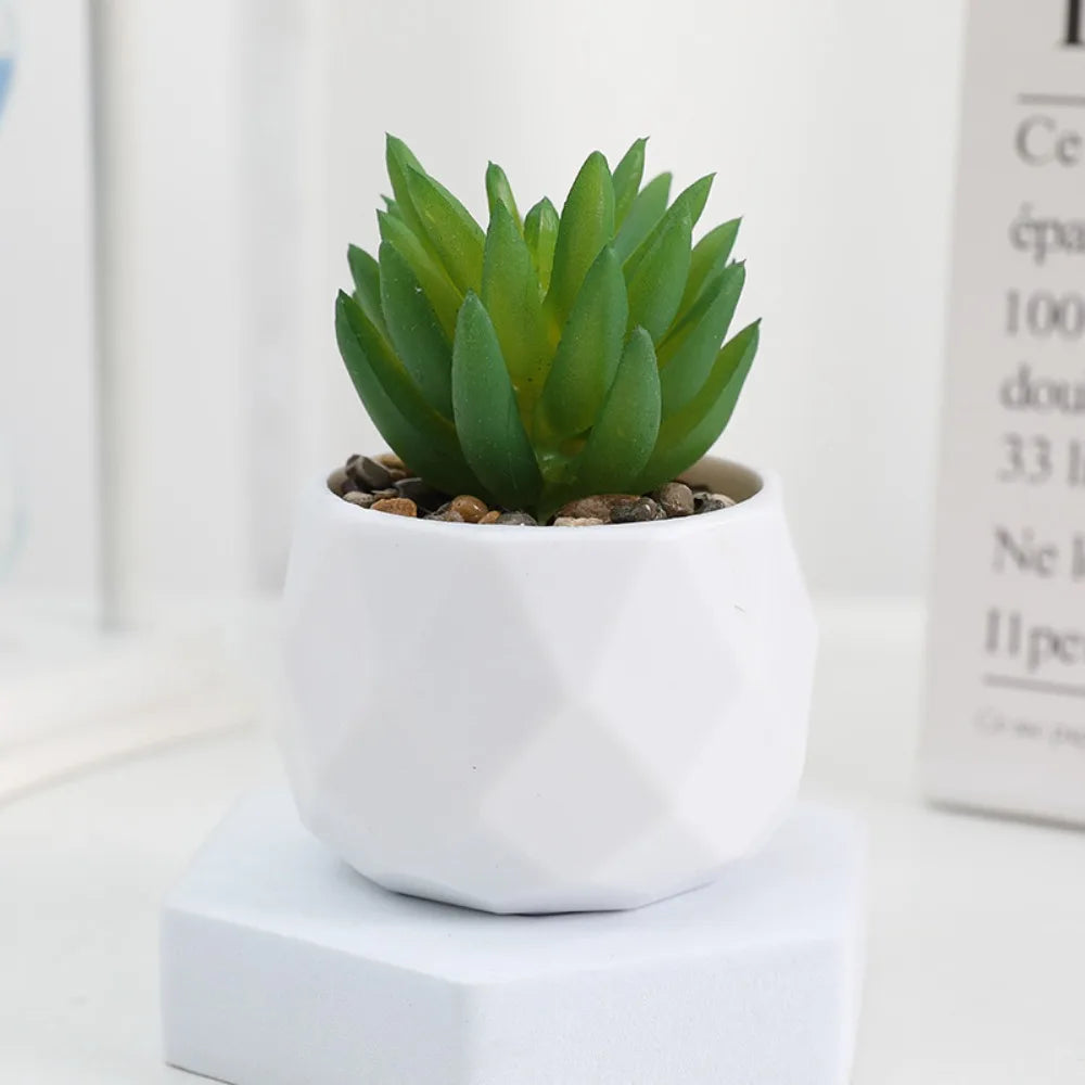 Simulazione Di Piante Bonsai E Succulente Artificiali Mini Evergreen Bonsai Cactus Decor Plastica Finta Per Decorazione