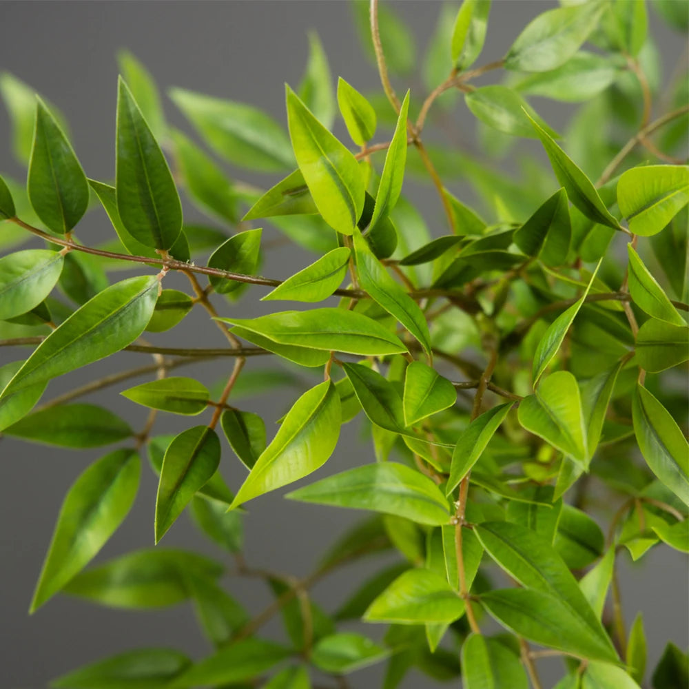 Piante Nandina Artificiali Alte 75-140 cm Con Rami Di Palma Tropicali Foglie Di Bambù Verdi Per Arredamento Ufficio