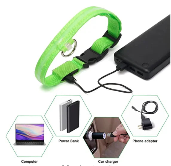 Collare Luminoso USB Ricaricabile Per Cani Di Piccola Taglia Pendente Staccabile Con Luce LED Notturna COOYOMOO