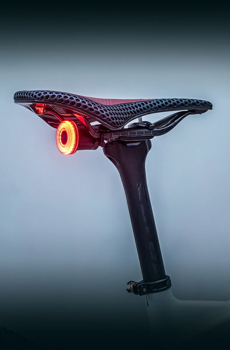 ROCKBROS Fanale Posteriore Per Bicicletta Intelligente Ricaricabile Tipo C Impermeabile IPX7 Per Guida Notturna