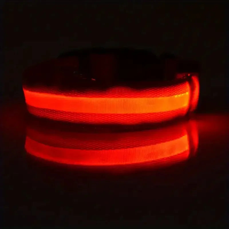 Guinzaglio per Cani in Nylon Led Sicurezza Notturna Lampeggiante Illumina al Buio Collare Fluorescente Luminoso
