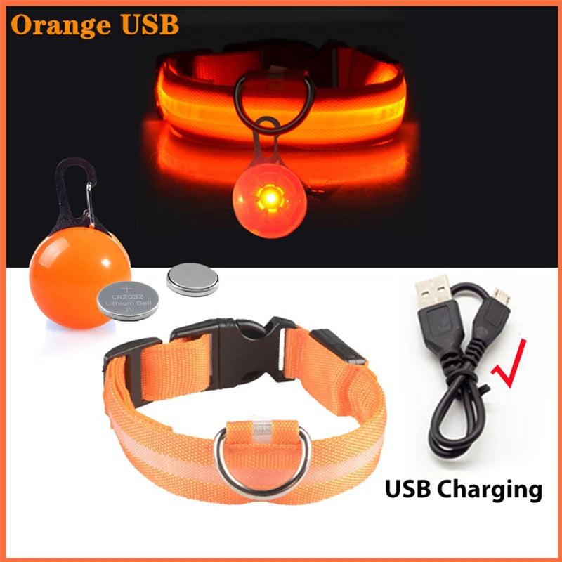 Collare Luminoso USB Ricaricabile Per Cani Di Piccola Taglia Pendente Staccabile Con Luce LED Notturna COOYOMOO