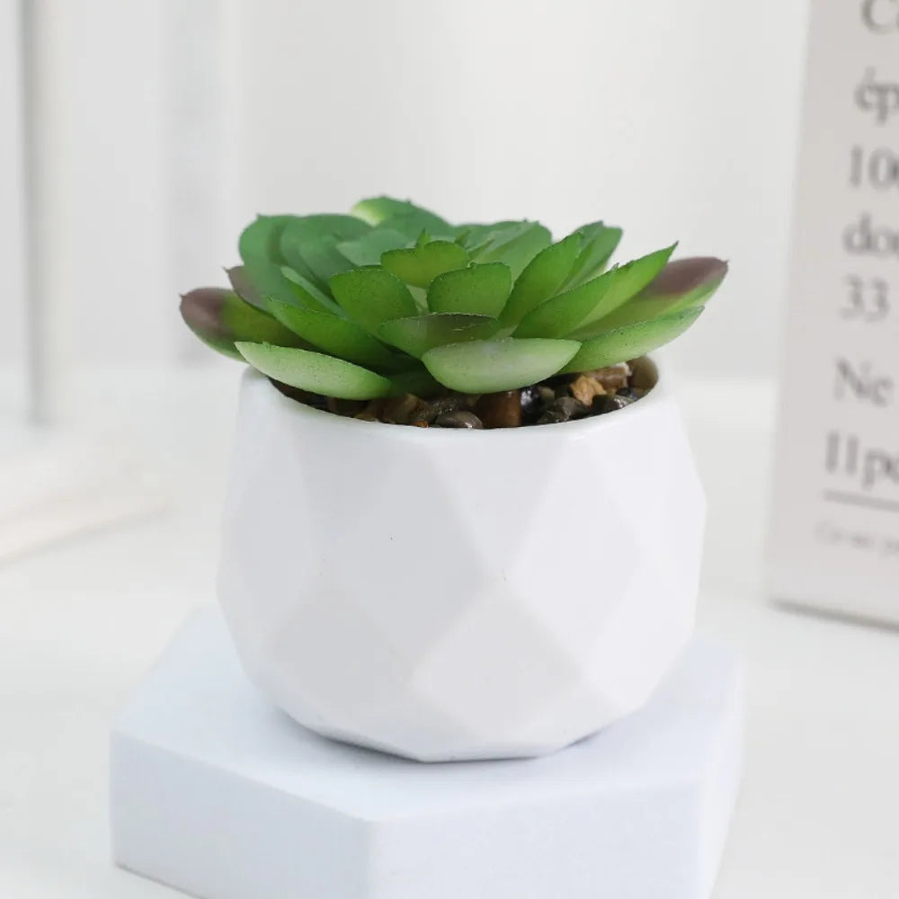 Simulazione Di Piante Bonsai E Succulente Artificiali Mini Evergreen Bonsai Cactus Decor Plastica Finta Per Decorazione