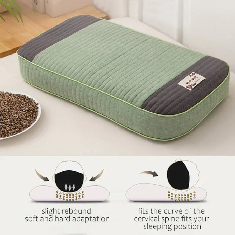 Cuscino Sobakawa In Grano Saraceno Con Cotone Organico Dimensioni Standard Per Dormire Fresco Sostegno Cervicale