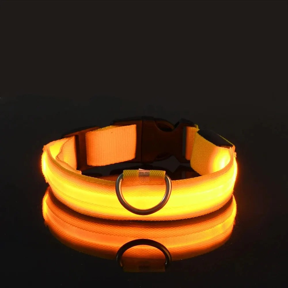 Guinzaglio per Cani in Nylon Led Sicurezza Notturna Lampeggiante Illumina al Buio Collare Fluorescente Luminoso