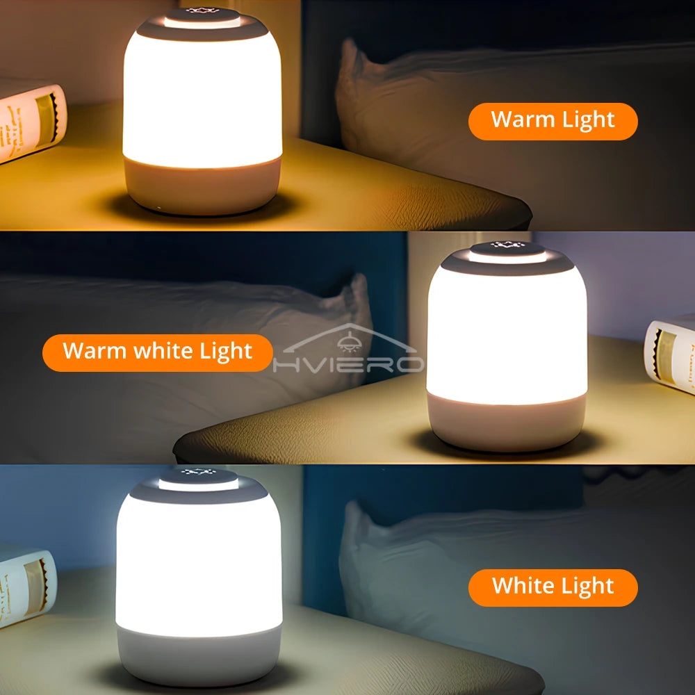 Lampada Da Tavolo Dimmerabile Con Controllo Tocco USB Ricaricabile Luce Notturna Per Camera E Soggiorno Decorazione