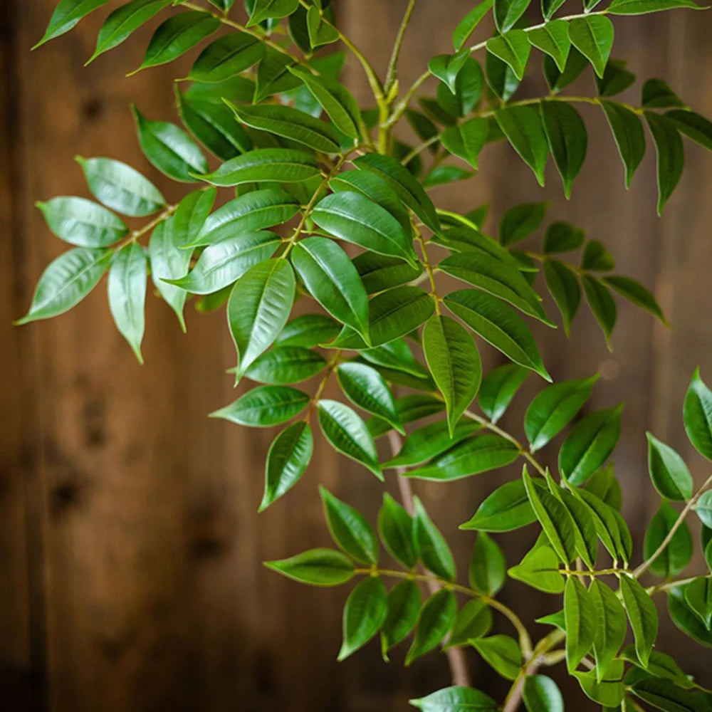 Ficus Artificiale Grande Ramo 76-140 Cm Manutenzione Zero Per Giardino E Terrazza Interni Esterni Foglie Rigogliose