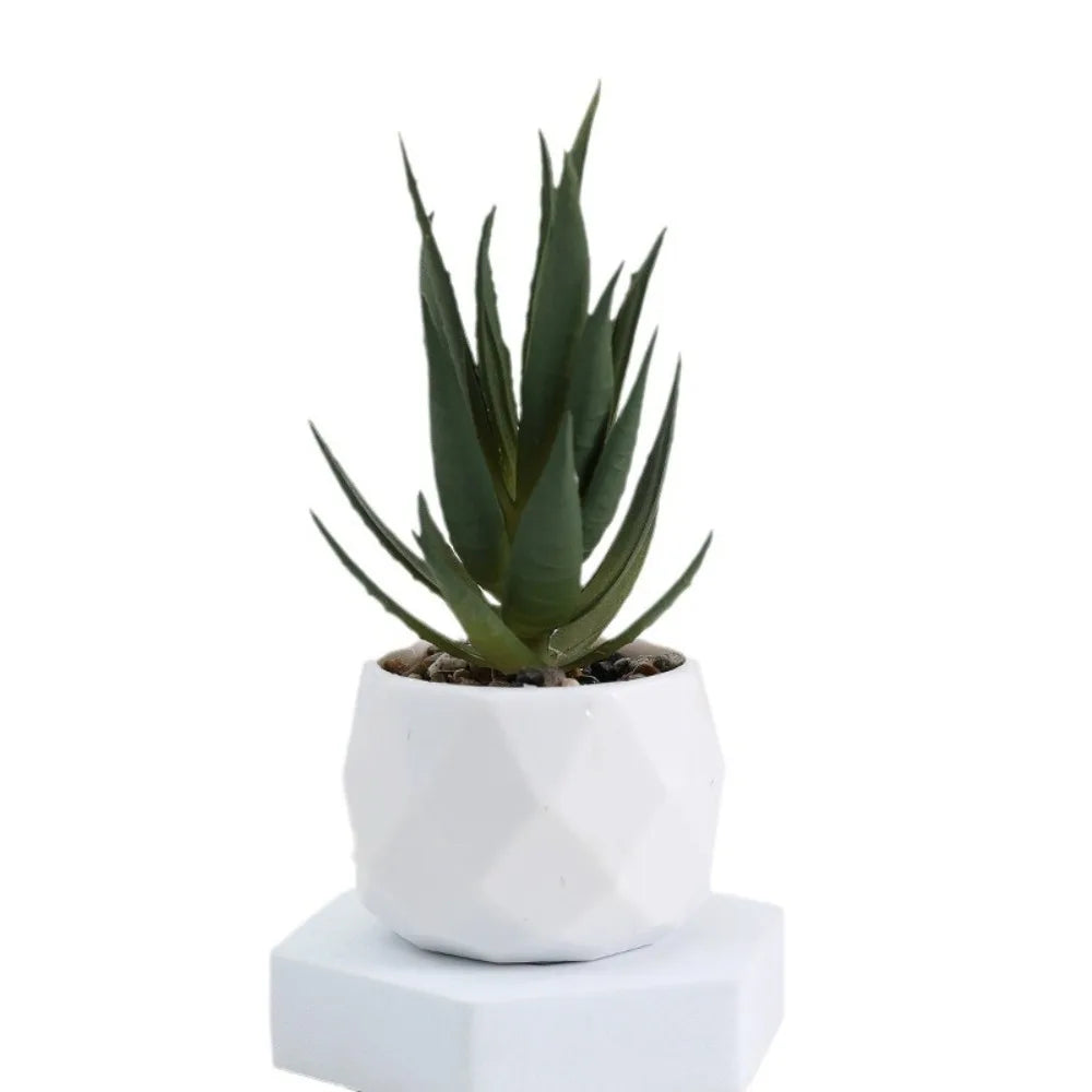 Simulazione Di Piante Bonsai E Succulente Artificiali Mini Evergreen Bonsai Cactus Decor Plastica Finta Per Decorazione