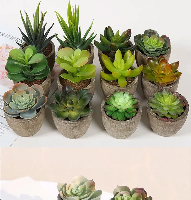 Mini Piante Succulente Artificiali Sempreverdi In Vaso Piccolo Per Ufficio Casa Decorazioni Da Tavolo Fiori Finti