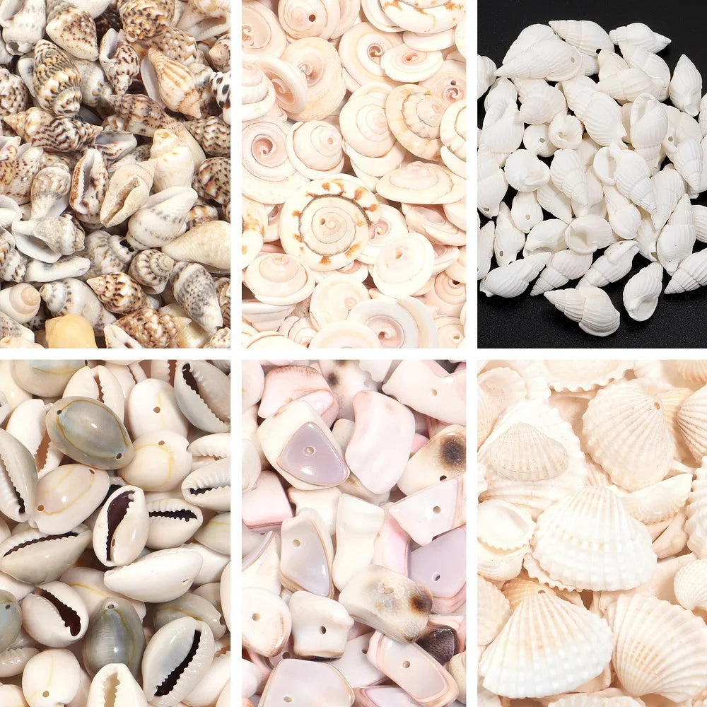 Perline Di Conchiglia Di Mare 30g 40g 50g Conchiglie A Spirale Distanziatori Per Artigianato Fai Da Te Decorazioni Casa