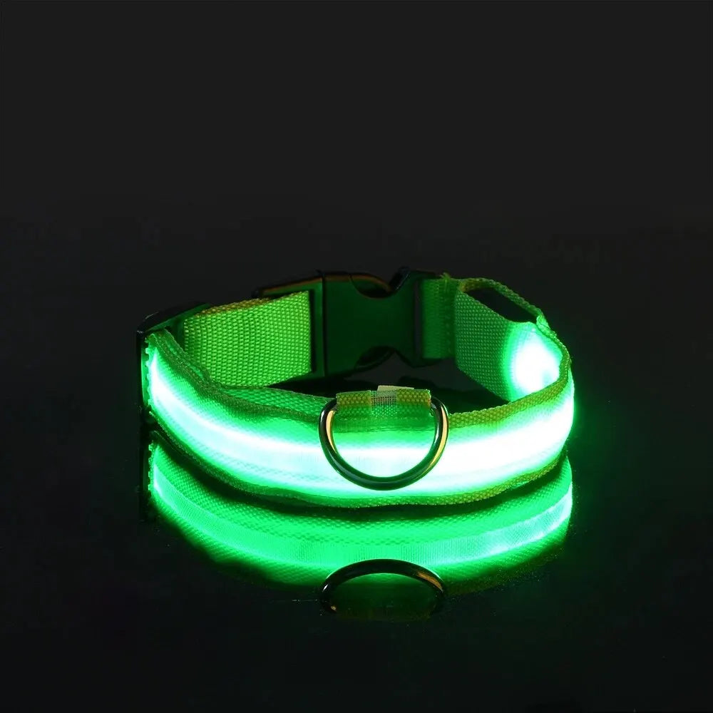 Guinzaglio per Cani in Nylon Led Sicurezza Notturna Lampeggiante Illumina al Buio Collare Fluorescente Luminoso