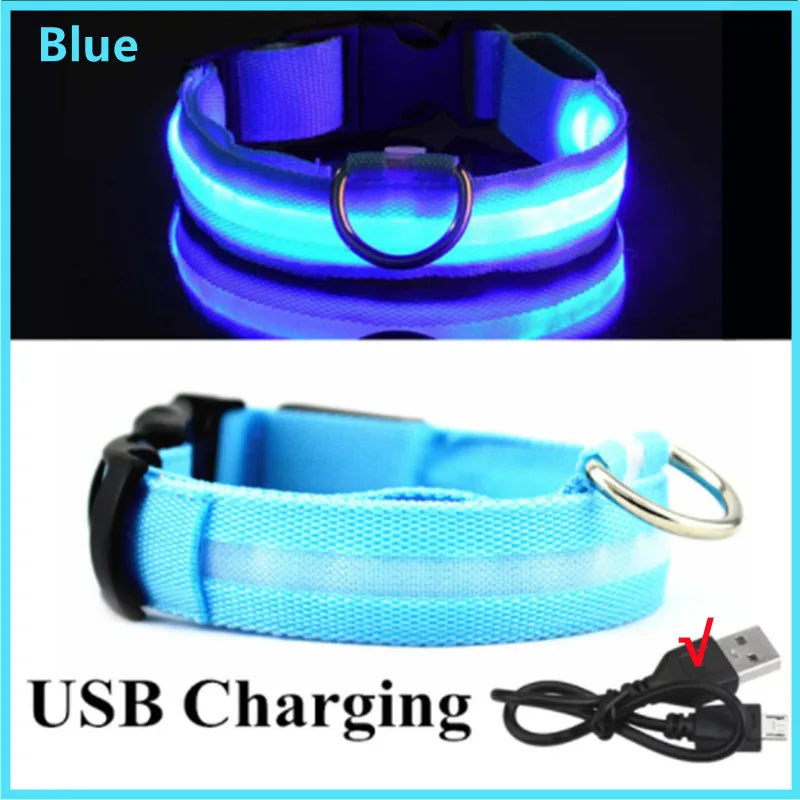 Collare Luminoso USB Ricaricabile Con Led Regolabile Cani Di Piccola Taglia E Gatti Luce Notturna Sicurezza Animali