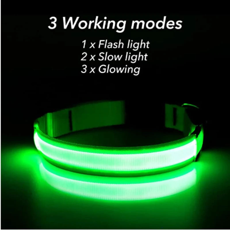 Collare Luminoso USB Ricaricabile Per Cani Di Piccola Taglia Pendente Staccabile Con Luce LED Notturna COOYOMOO