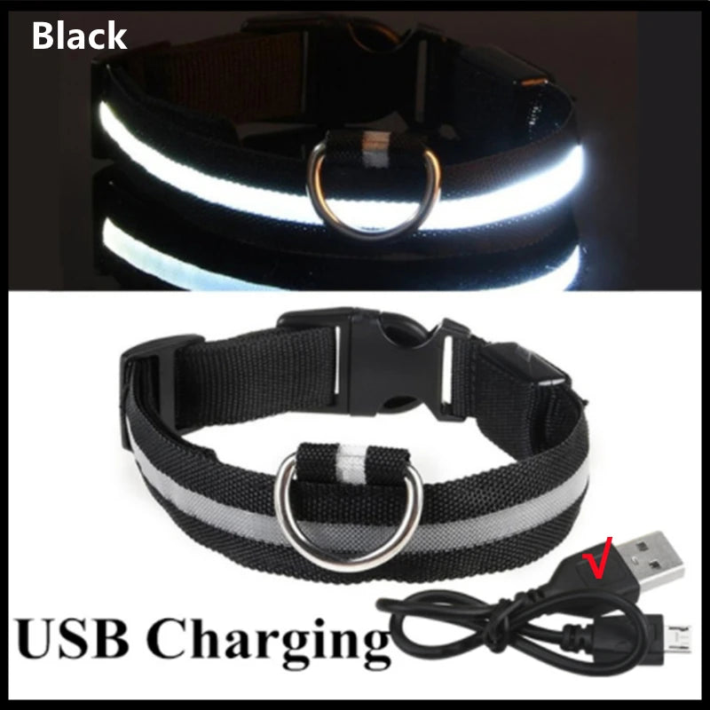 Collare Luminoso USB Ricaricabile Con Led Regolabile Cani Di Piccola Taglia E Gatti Luce Notturna Sicurezza Animali