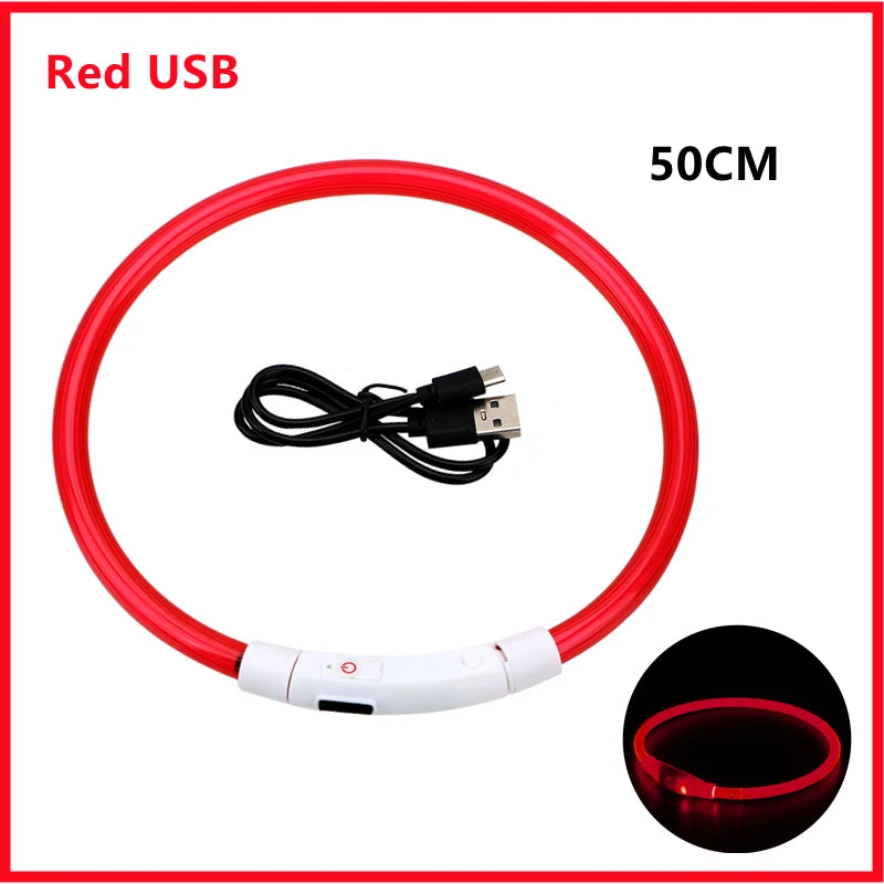 Collare Luminoso USB Ricaricabile Con Led Regolabile Cani Di Piccola Taglia E Gatti Luce Notturna Sicurezza Animali