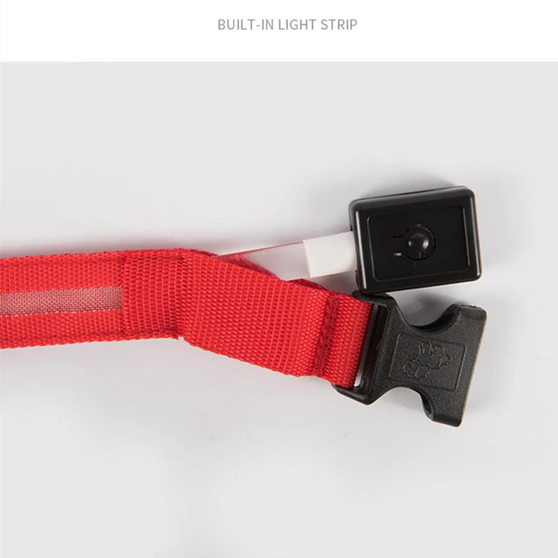 Collare Luminoso USB Ricaricabile Con Led Regolabile Cani Di Piccola Taglia E Gatti Luce Notturna Sicurezza Animali
