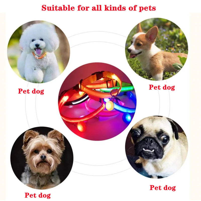 Collare Luminoso USB Ricaricabile Per Cani Di Piccola Taglia Pendente Staccabile Con Luce LED Notturna COOYOMOO