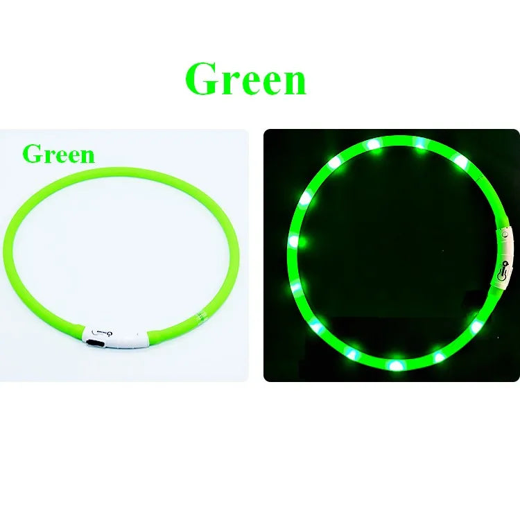 Collare Per Cani In Silicone LED Ricaricabile Tre Modalità Luce Lampeggiante Sicurezza Notturna Anti Smarrimento 70 Cm