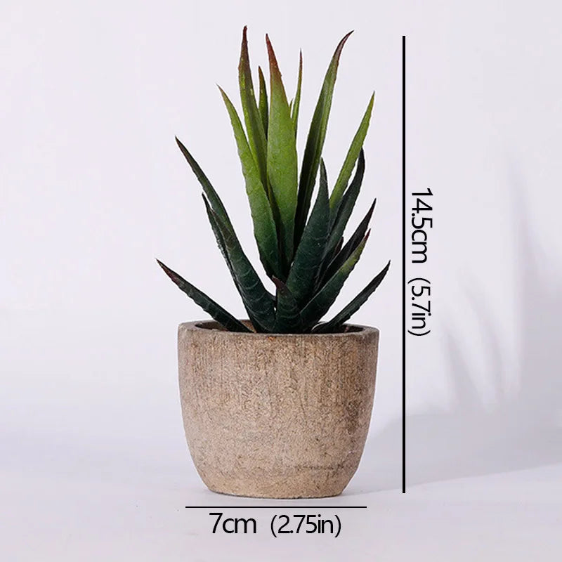 Mini Piante Succulente Artificiali Sempreverdi In Vaso Piccolo Per Ufficio Casa Decorazioni Da Tavolo Fiori Finti