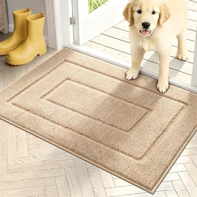 Tappetino Per Interni Antiscivolo Lavabile Assorbente E Resistente Per Porta D'Ingresso Porta Posteriore Ingresso E Bagno