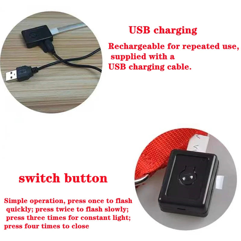 Collare Luminoso USB Ricaricabile Per Cani Di Piccola Taglia Pendente Staccabile Con Luce LED Notturna COOYOMOO