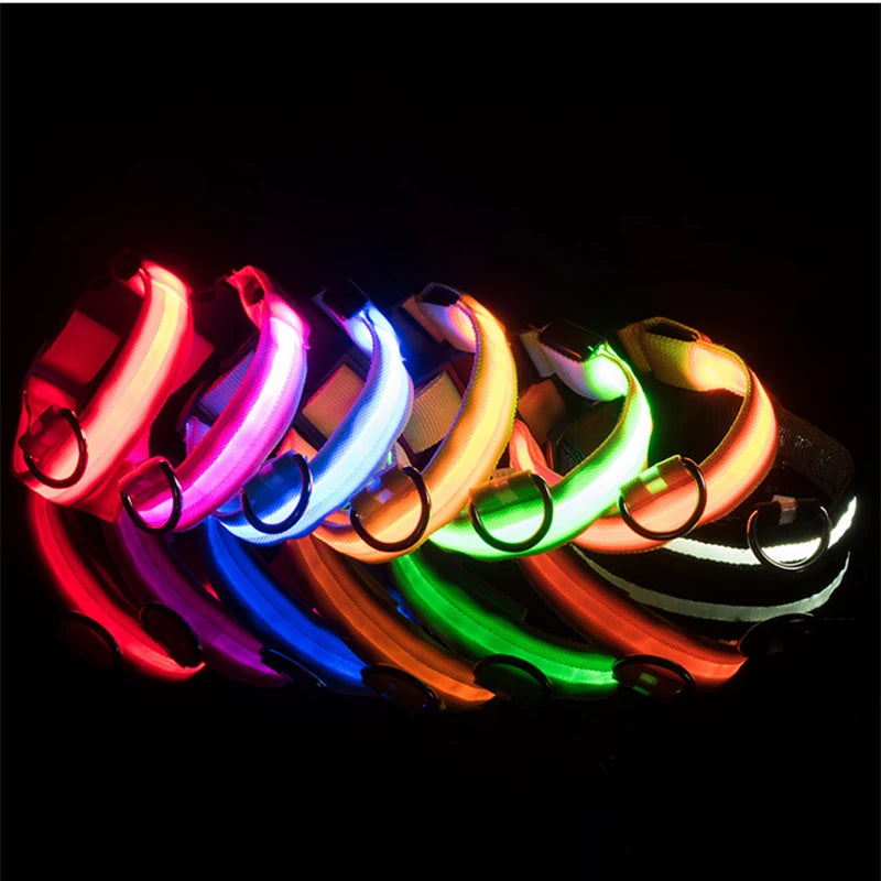 Collare Luminoso USB Ricaricabile Con Led Regolabile Cani Di Piccola Taglia E Gatti Luce Notturna Sicurezza Animali