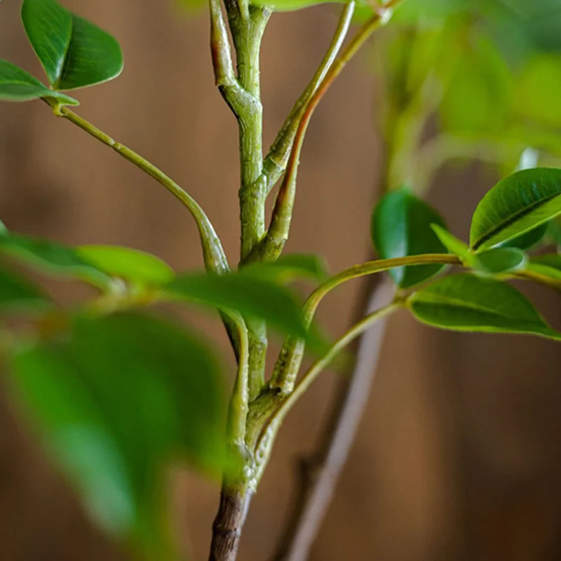 Ficus Artificiale Grande Ramo 76-140 Cm Manutenzione Zero Per Giardino E Terrazza Interni Esterni Foglie Rigogliose
