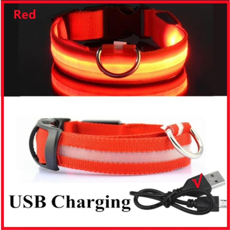 Collare Luminoso USB Ricaricabile Con Led Regolabile Cani Di Piccola Taglia E Gatti Luce Notturna Sicurezza Animali