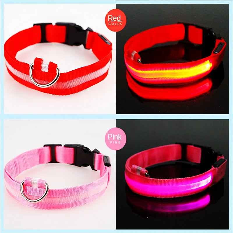 Collare Luminoso USB Ricaricabile Con Led Regolabile Cani Di Piccola Taglia E Gatti Luce Notturna Sicurezza Animali