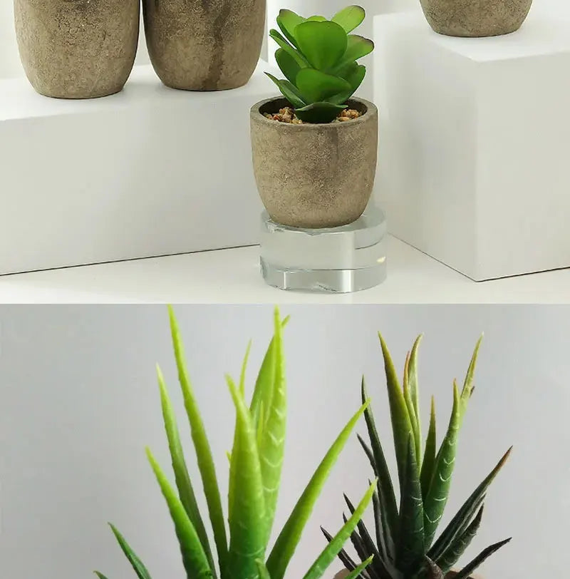 Mini Piante Succulente Artificiali Sempreverdi In Vaso Piccolo Per Ufficio Casa Decorazioni Da Tavolo Fiori Finti