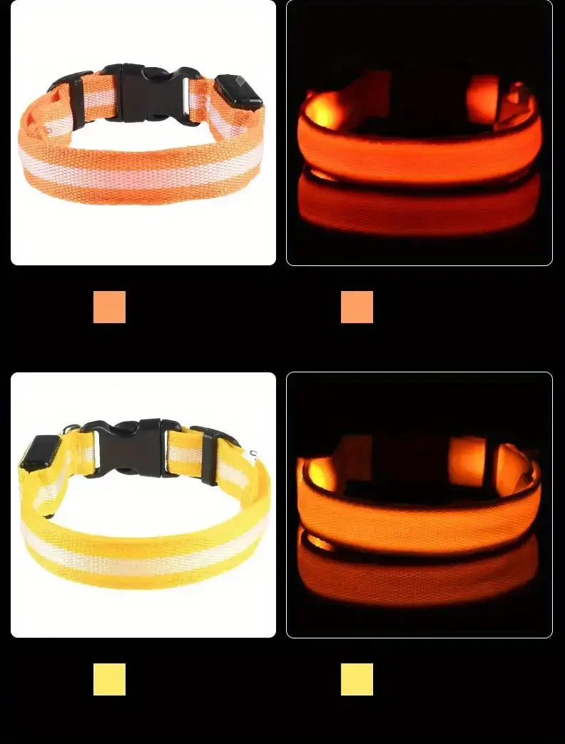 Guinzaglio per Cani in Nylon Led Sicurezza Notturna Lampeggiante Illumina al Buio Collare Fluorescente Luminoso