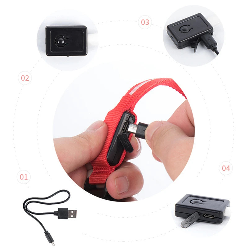 Collare Luminoso USB Ricaricabile Con Led Regolabile Cani Di Piccola Taglia E Gatti Luce Notturna Sicurezza Animali